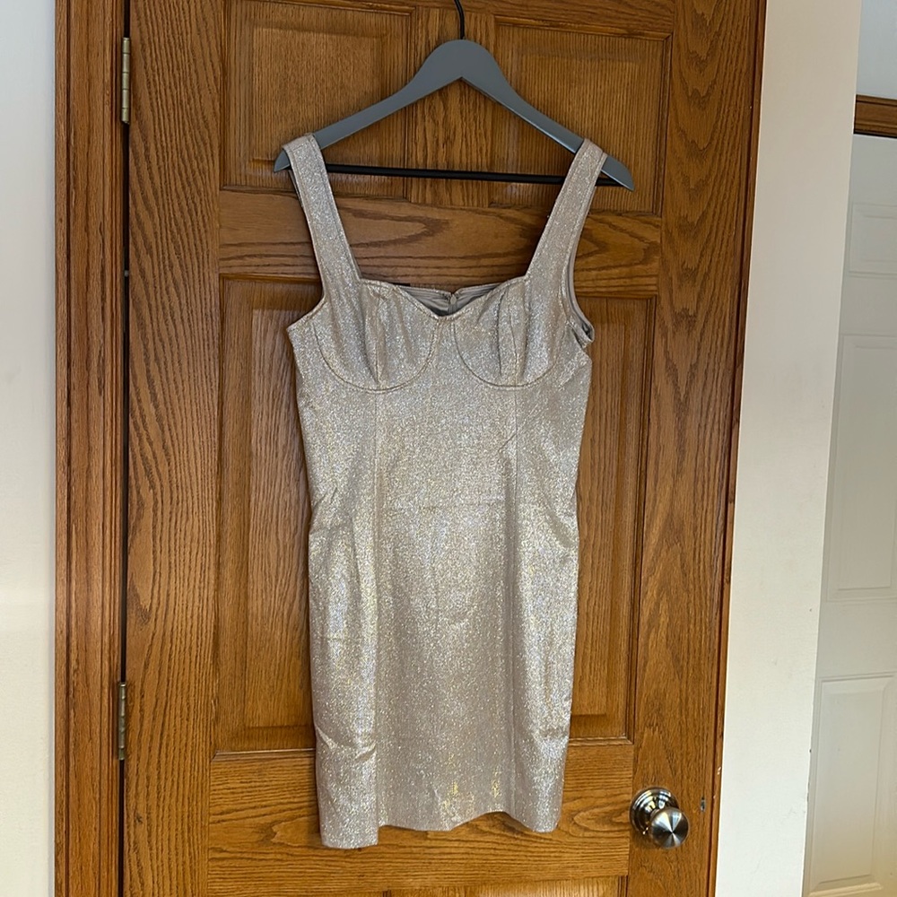 New with tags silver/champagne underwire mini dress